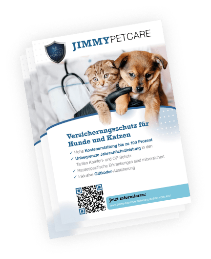 Startseite 13 Plakate